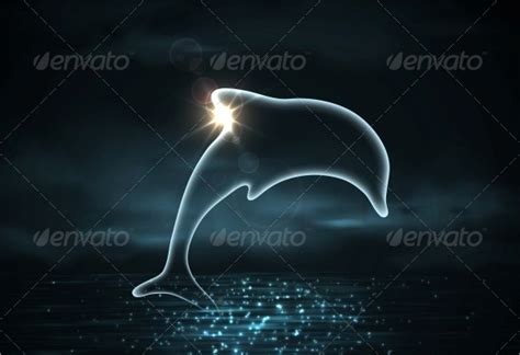 8+ Dolphin Silhouettes