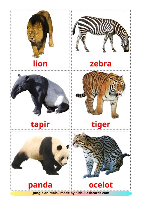21 FREE Jungle animals Flashcards | PDF | English Words