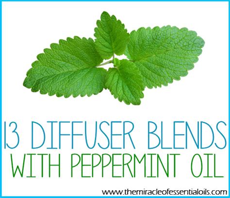 15 Best Peppermint Essential Oil Diffuser Blends - The Miracle of ...