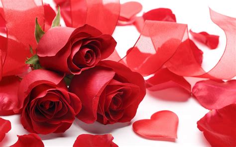 Free Images : roses, heart, love, symbol, romance, valentine, red ...