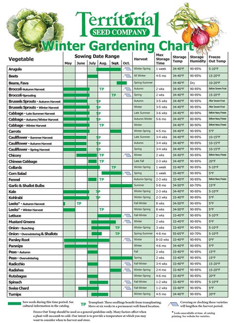 Zone 8 Fruit Planting Calendar - Diane Florida