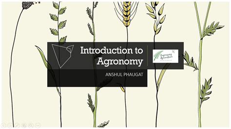 Agronomy Meaning