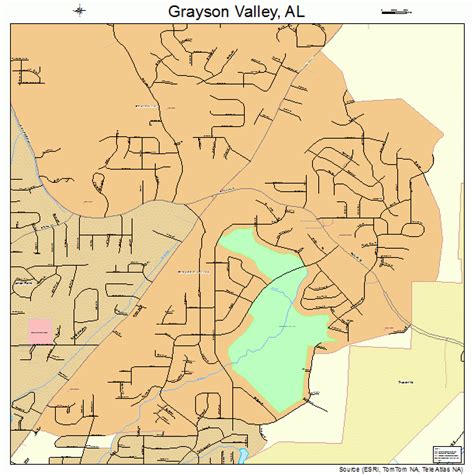 Grayson Valley Alabama Street Map 0131348