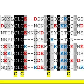 (PDF) Make it double: identification and characterization of a Tandem ...