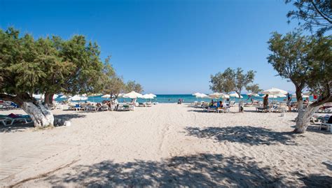 Tigaki beach hotel 4****, Hotels in Tigaki Kos Greece