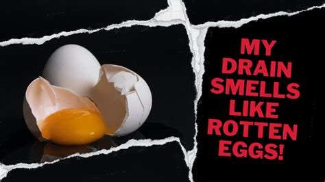 What's Causing That Strong Rotten Egg Smell That's Coming From My Drain?