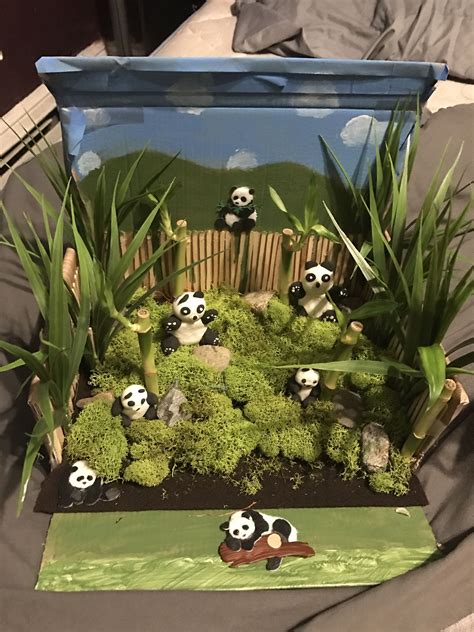 bamboo forest diorama - Google Search | Habitats projects, Panda habitat, Diorama kids