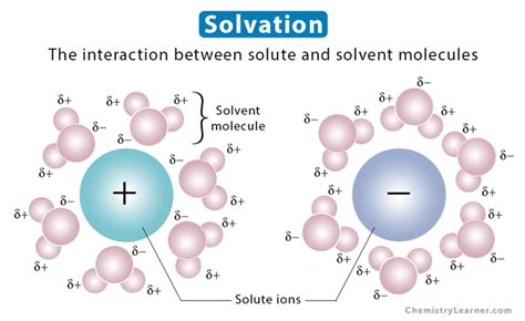 Solvation: Definition, Process, and Examples