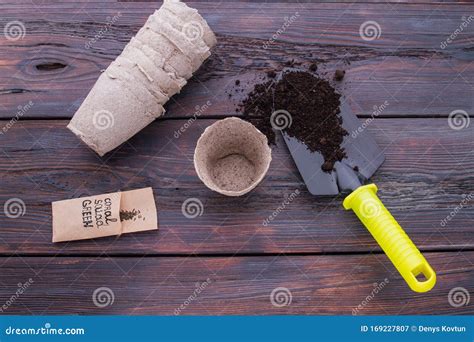 Planting Oat Seeds Concept. Stock Image - Image of empty, growing ...