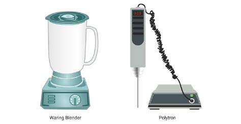 Traditional Methods of Cell Lysis | Thermo Fisher Scientific - US