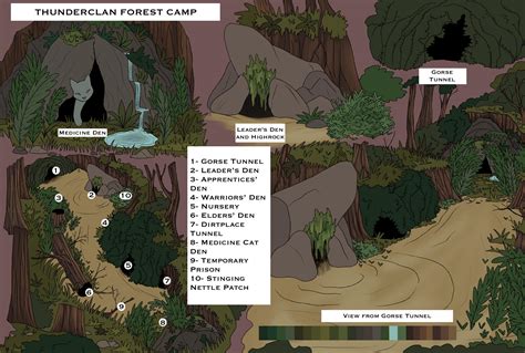 Warrior Cats Thunderclan Camp Map