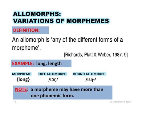 allomorphe - définition - C'est quoi