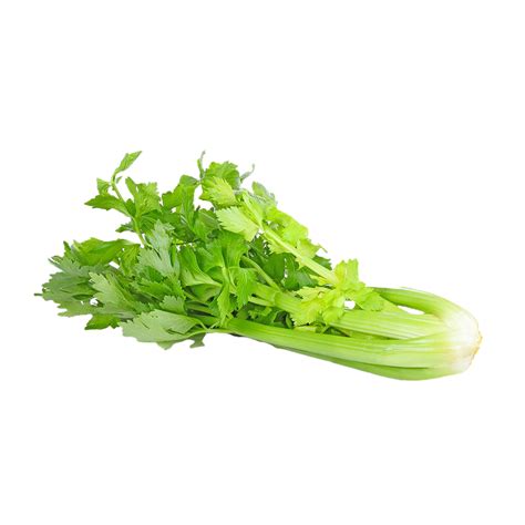 celery png transparent background 29721421 PNG