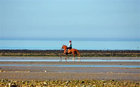 Horse Back Riding Free Stock Photo - Public Domain Pictures