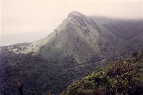 Journeys across Karnataka: Alive is Awesome: Kemmangundi