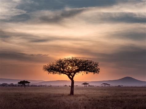 Sunset in Serengeti Tanzania (Photo credit to Hu Chen) [5203 x 3910 ...