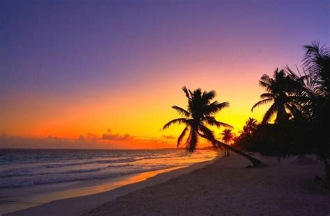 Things Every Tourist Must Know About Tulum Nightlife. – Mexico Travel Buddy