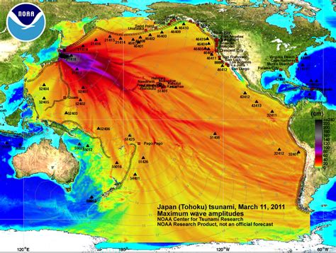 Old graphic of tsunami wave forecast falsely linked to Japan nuclear ...