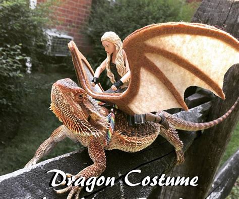 Easy Dragon Costume for Your Beardie! : 5 Steps (with Pictures ...