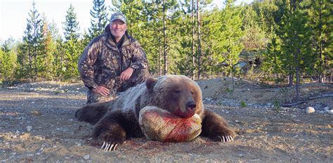 Grizzly Hunting in BC, Guided Hunts for Grizzly Bear Circle M Outfitters, BC