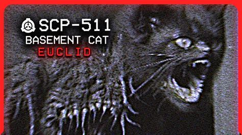 SCP-511 │ Basement Cat │ Euclid │ Hostile/Reanimation SCP - YouTube