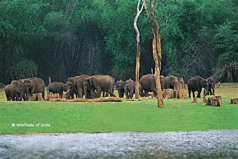 Complete list of all Wildlife Sanctuaries of Kerala, India