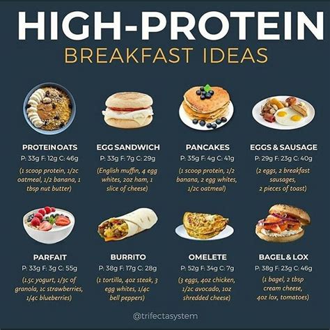 List Of Protein Breakfast Ideas For Weight Gain 2023 - Recipe Oasis