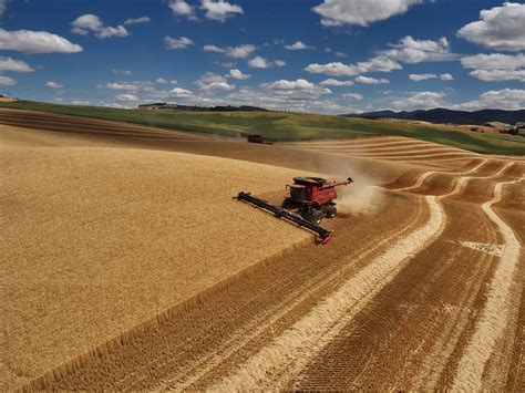 Western Wheat Harvest on Behance