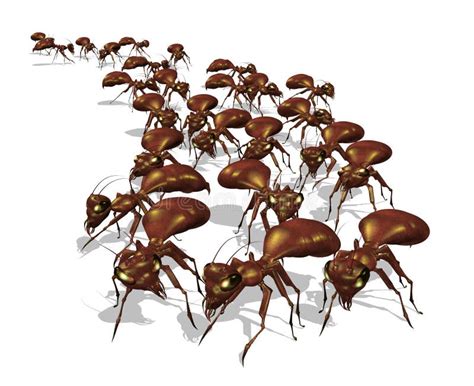 Army of Ants stock illustration. Illustration of exterminate - 14873284