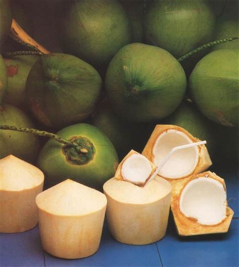 DA-Philippine Coconut Authority to Link Farmers with U.S. Consolidators