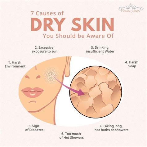 No one likes to have dry skin, do you? That's why it is essential to ...