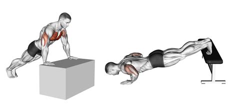 Incline vs Decline Push-ups: Differences Explained - Inspire US