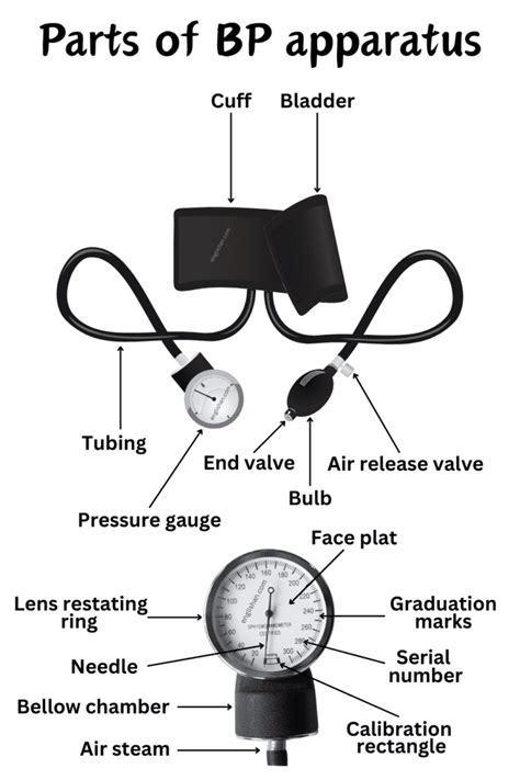 Parts of BP Apparatus Names in English with Their Functions • Englishan