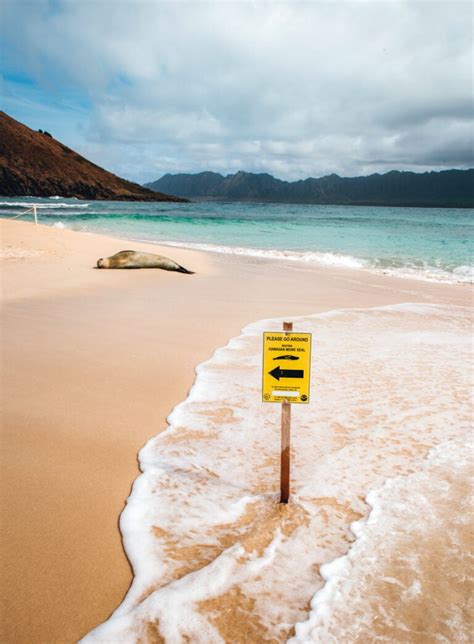 Kayaking to Mokulua Islands on Oahu // An In-Depth Guide