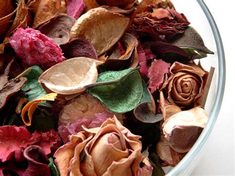 How To Dry Out Flowers For Potpourri | Best Flower Site