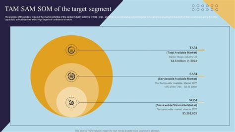 Tam Sam Som Target Segment Mens Grooming Business Plan BP SS PPT Template