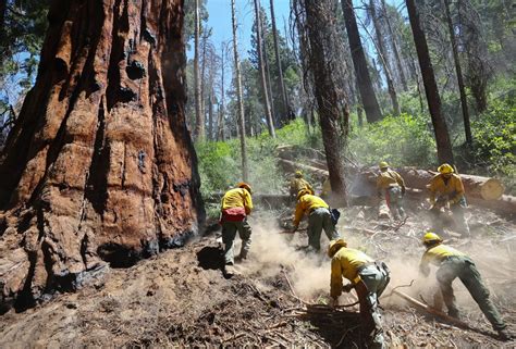 How Bad Are the 2023 Wildfires? Chart Shows Dramatic Shift From Last ...