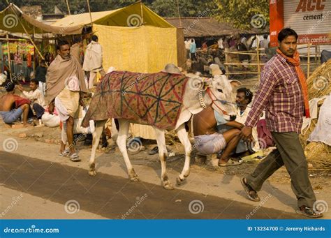 Sonepur Cattle Fair, Munger, India Editorial Image | CartoonDealer.com ...