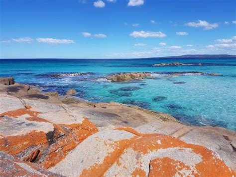 Bay of Fires Conservation Area (Mount William National Park) - 2020 All You Need to Know BEFORE ...