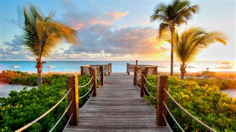 1920 X 1080 Tropical Wallpapers - Top Free 1920 X 1080 Tropical Backgrounds - WallpaperAccess