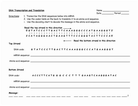 50 Dna Transcription and Translation Worksheet – Chessmuseum Template ...