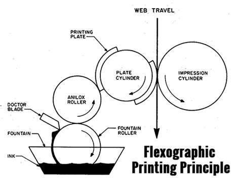 Rotogravure or Flexography Printing? Flexo Printing Sleeves