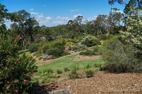 Brisbane Botanic Gardens | Brisbane Botanic Gardens, Mount C… | Flickr