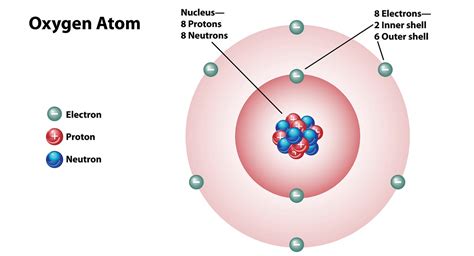 Oxygen and Nitrogen: The Most Abundant Elements in the Universe