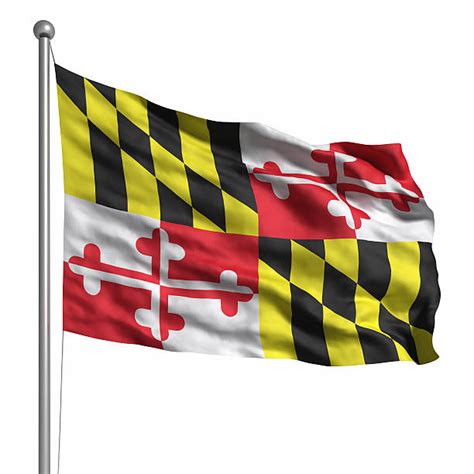 Royalty Free Maryland Flag Pictures, Images and Stock Photos - iStock