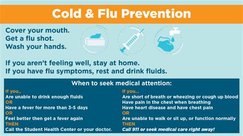 How To Prevent Rhinovirus - Tomorrowfall9