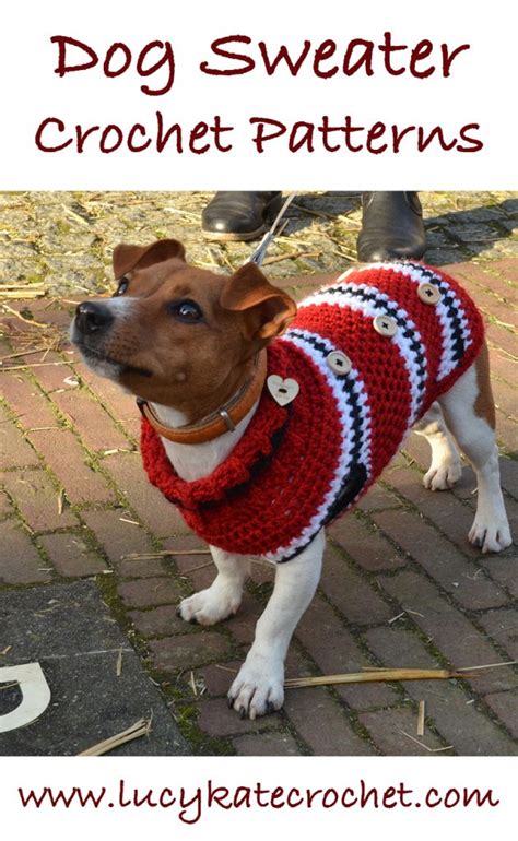 Best Free Crochet Dog Sweater Patterns by Lucy Kate Crochet