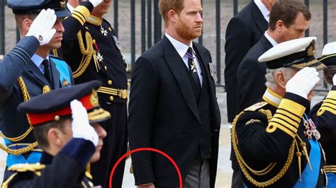 Queen’s funeral: Why Prince Harry and Prince Andrew didn’t salute Queen ...