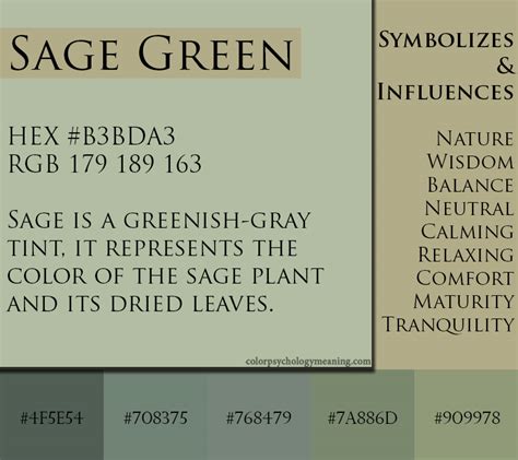 Sage Green Color Meaning Symbolism - vrogue.co