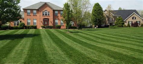 Pro Lawn Care Of N. KY, Inc. mowing information.